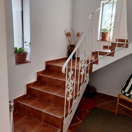 D&D Vila Villa Iasi Eksteriør bilde
