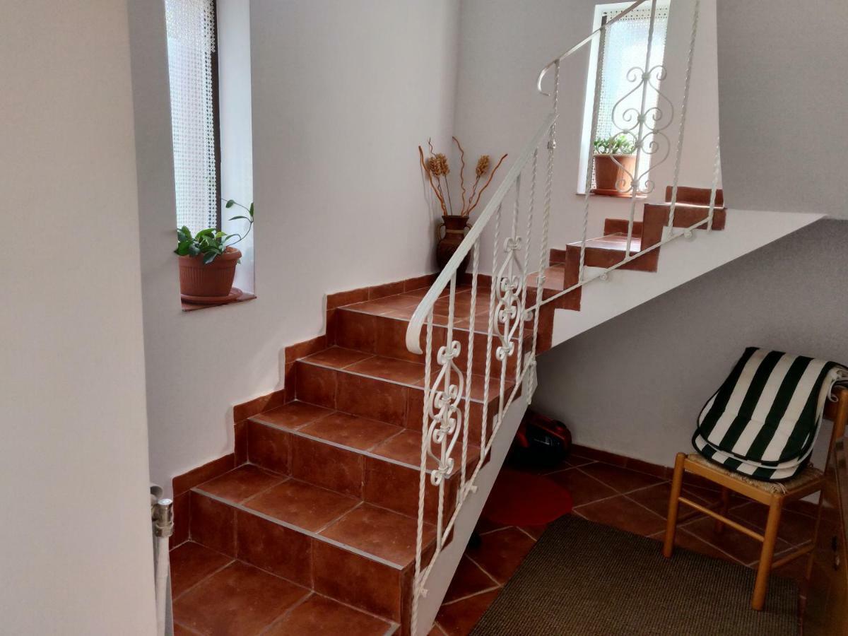 D&D Vila Villa Iasi Eksteriør bilde